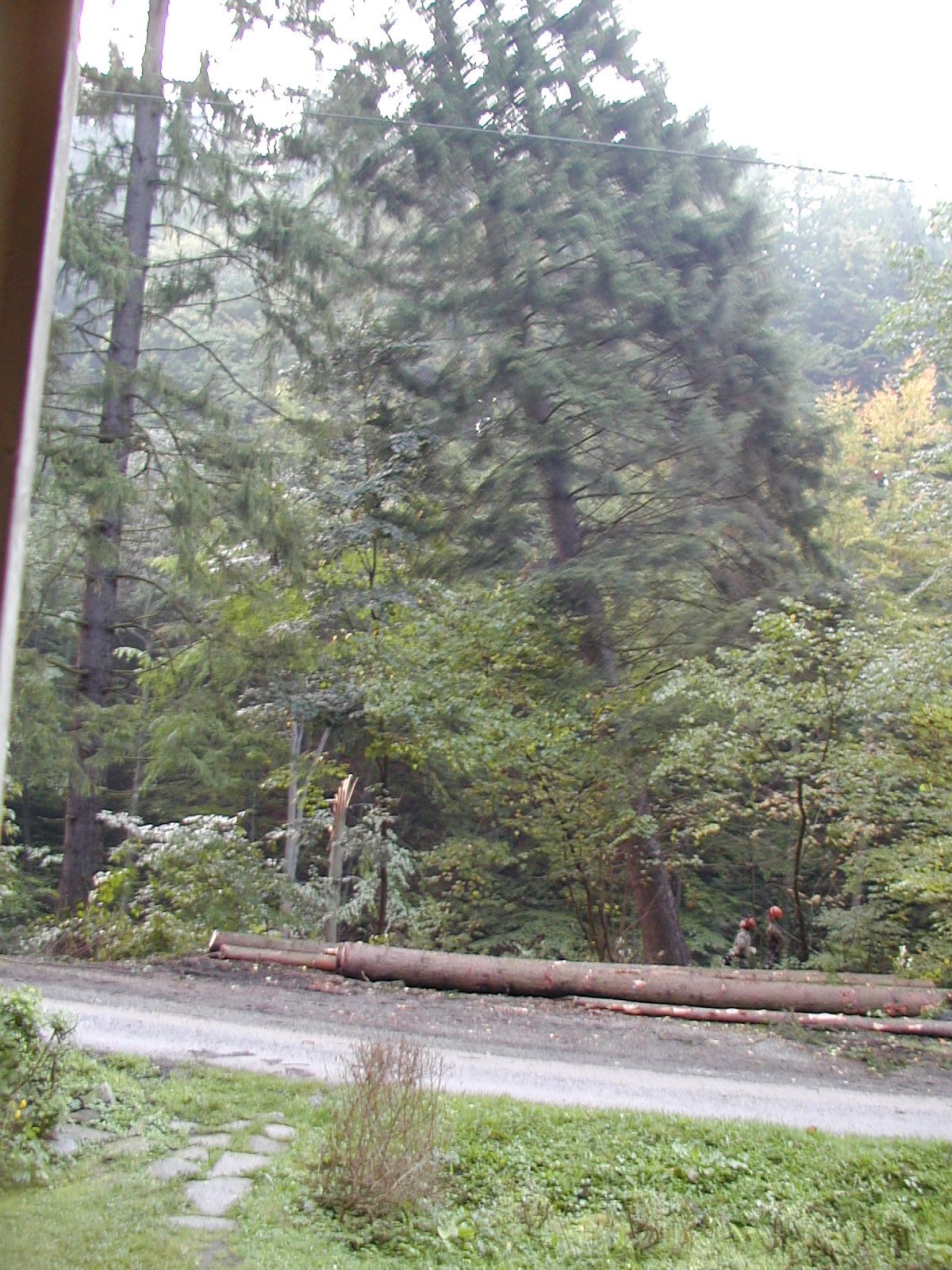 PA060050.JPG