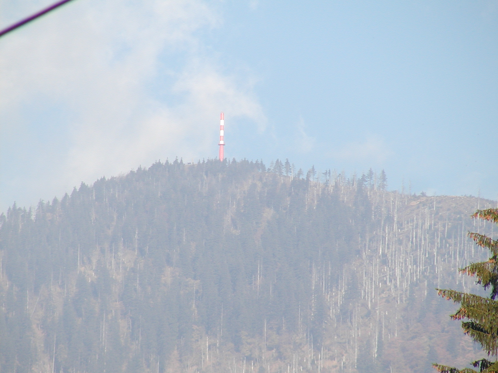 PA140055.JPG