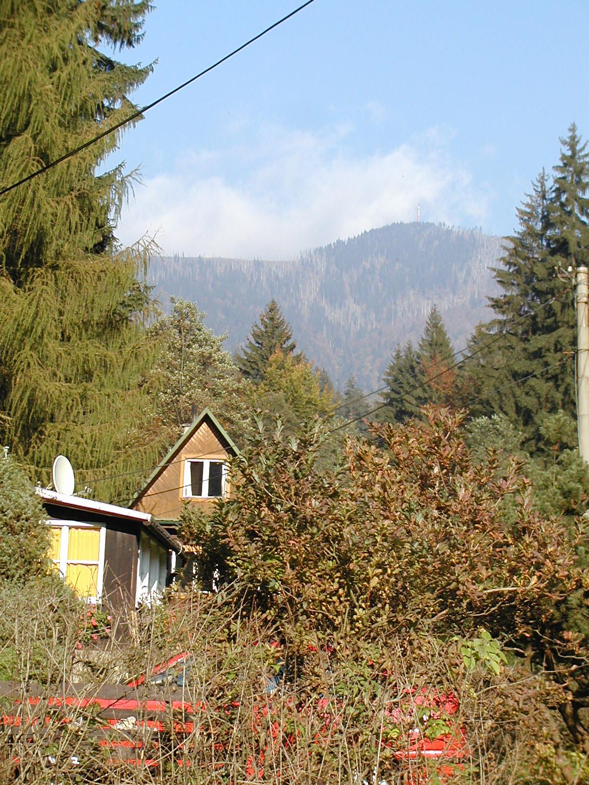 PA140057-1.jpg