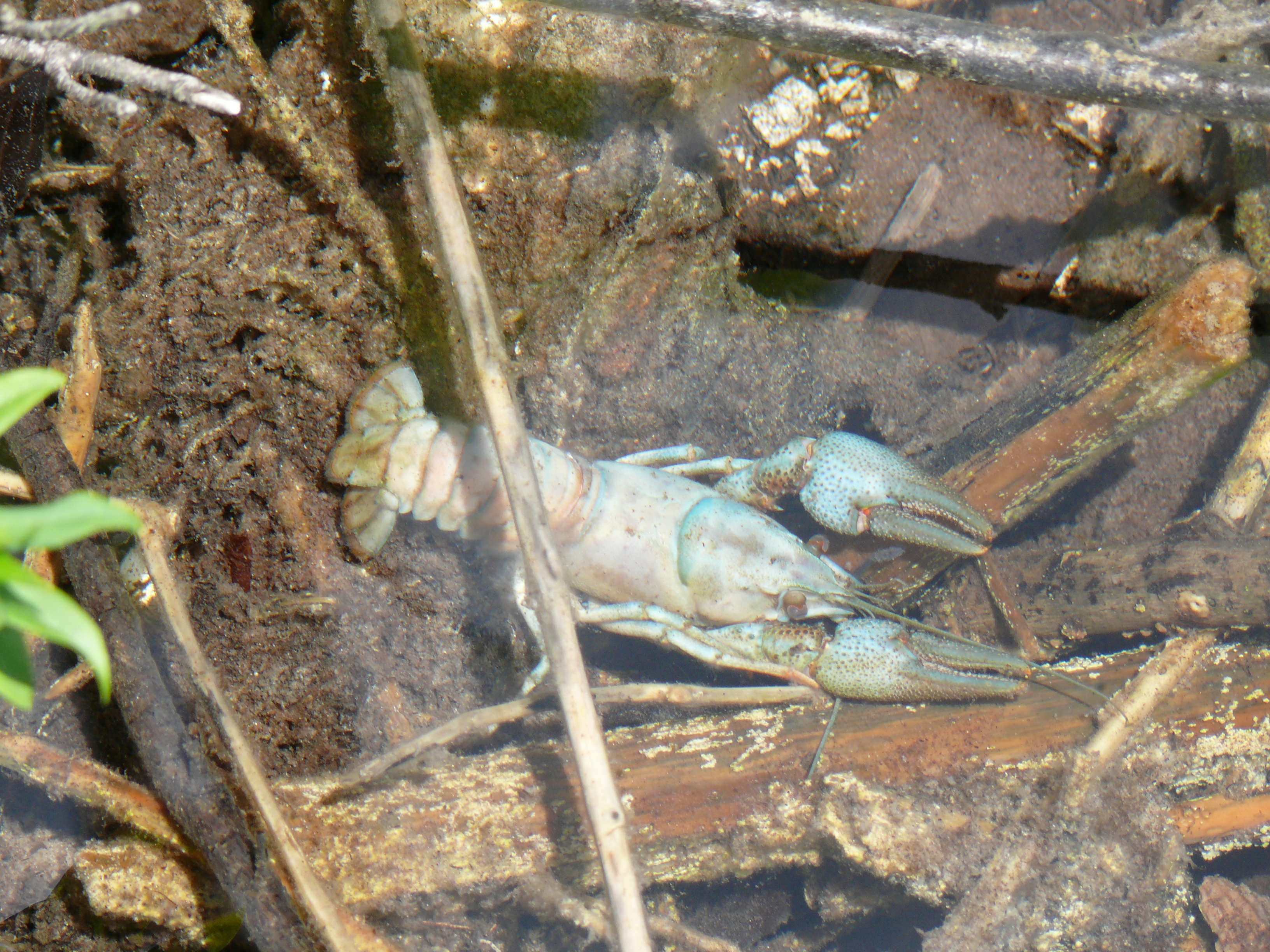 Plitvice-5