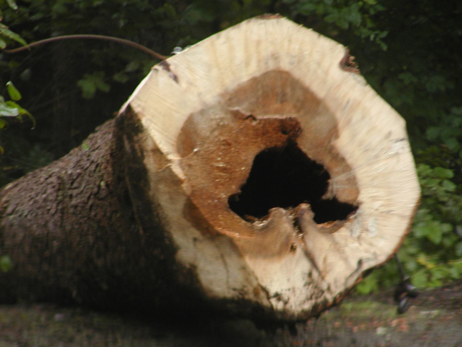 PA020011.JPG