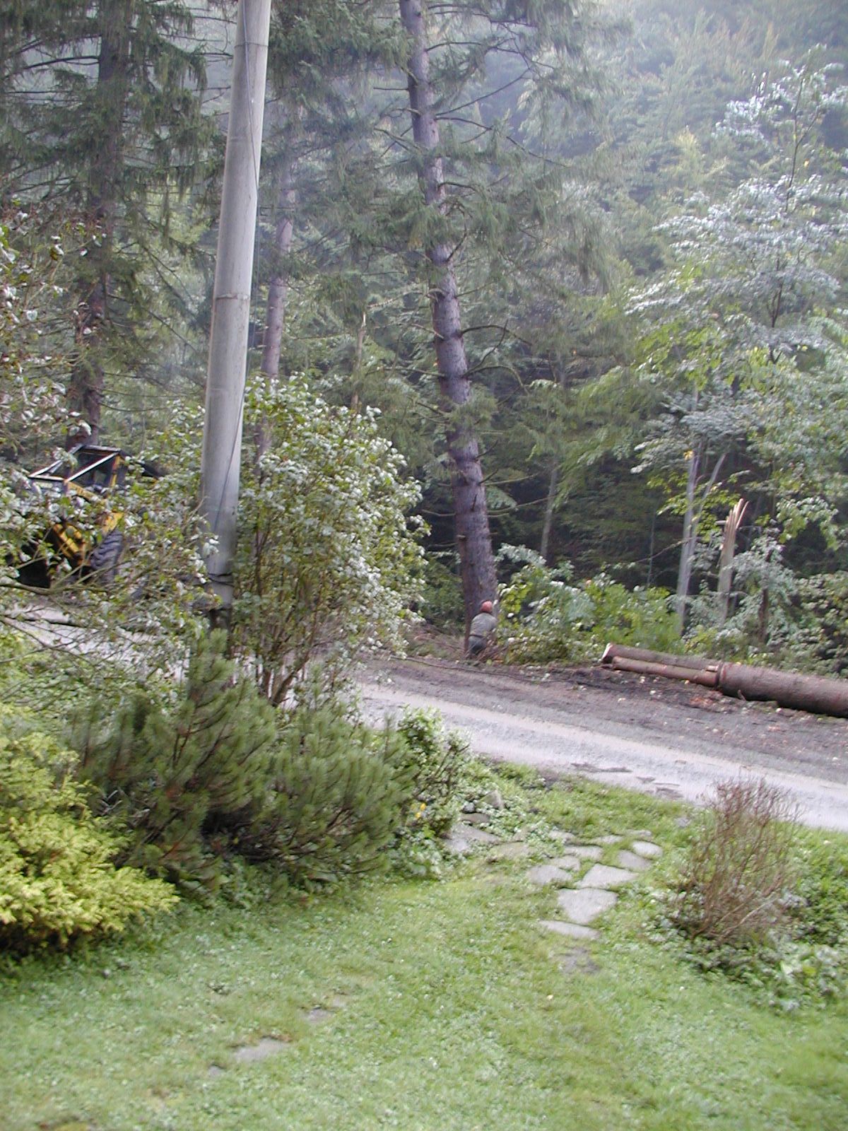 PA060051.JPG