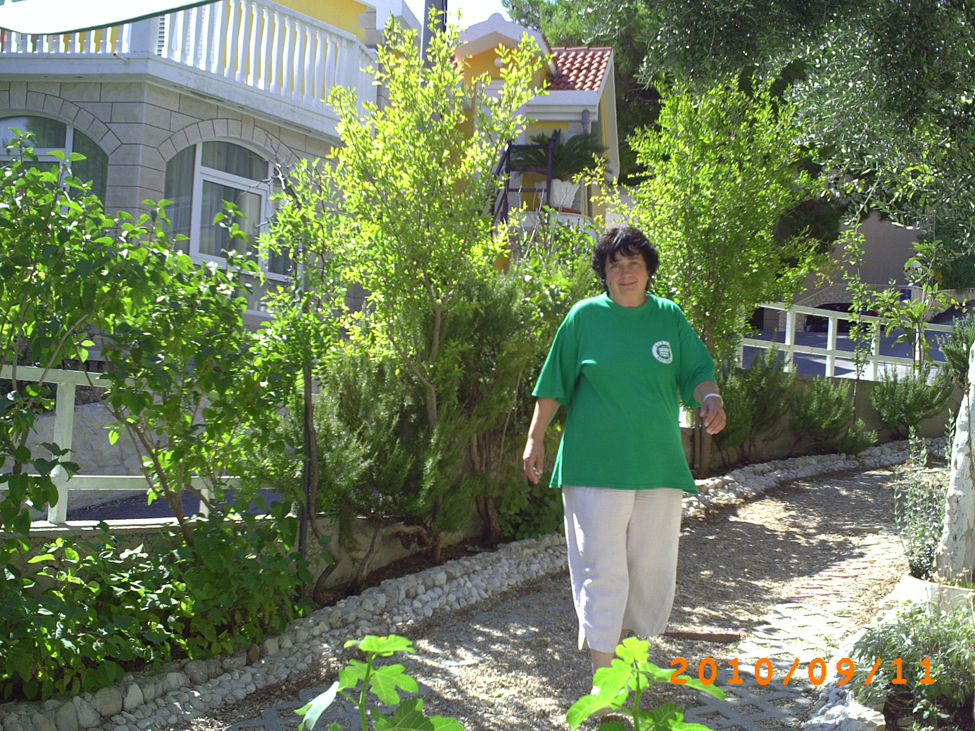 PICT0382.JPG