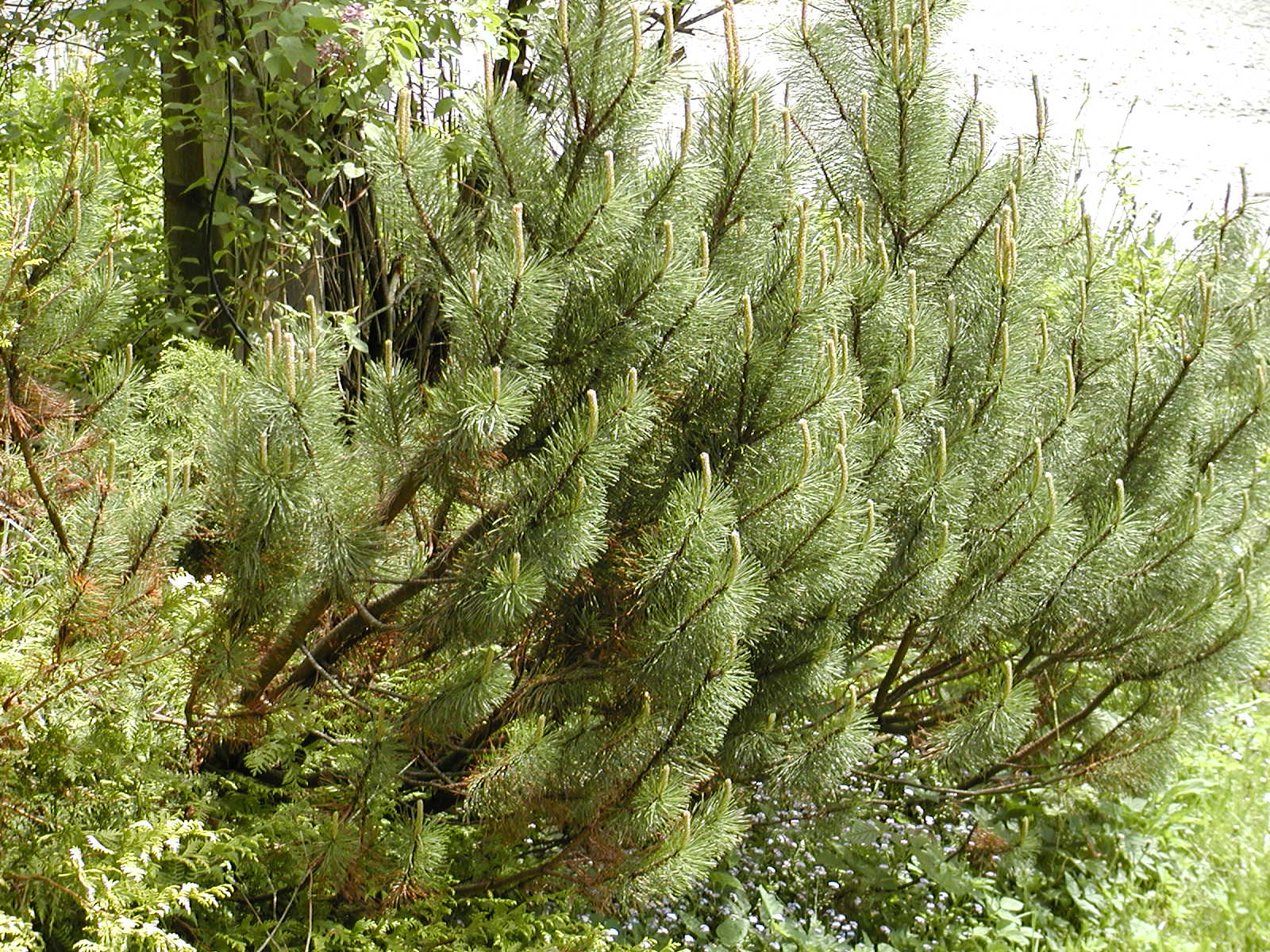 6.měsíc 003.JPG